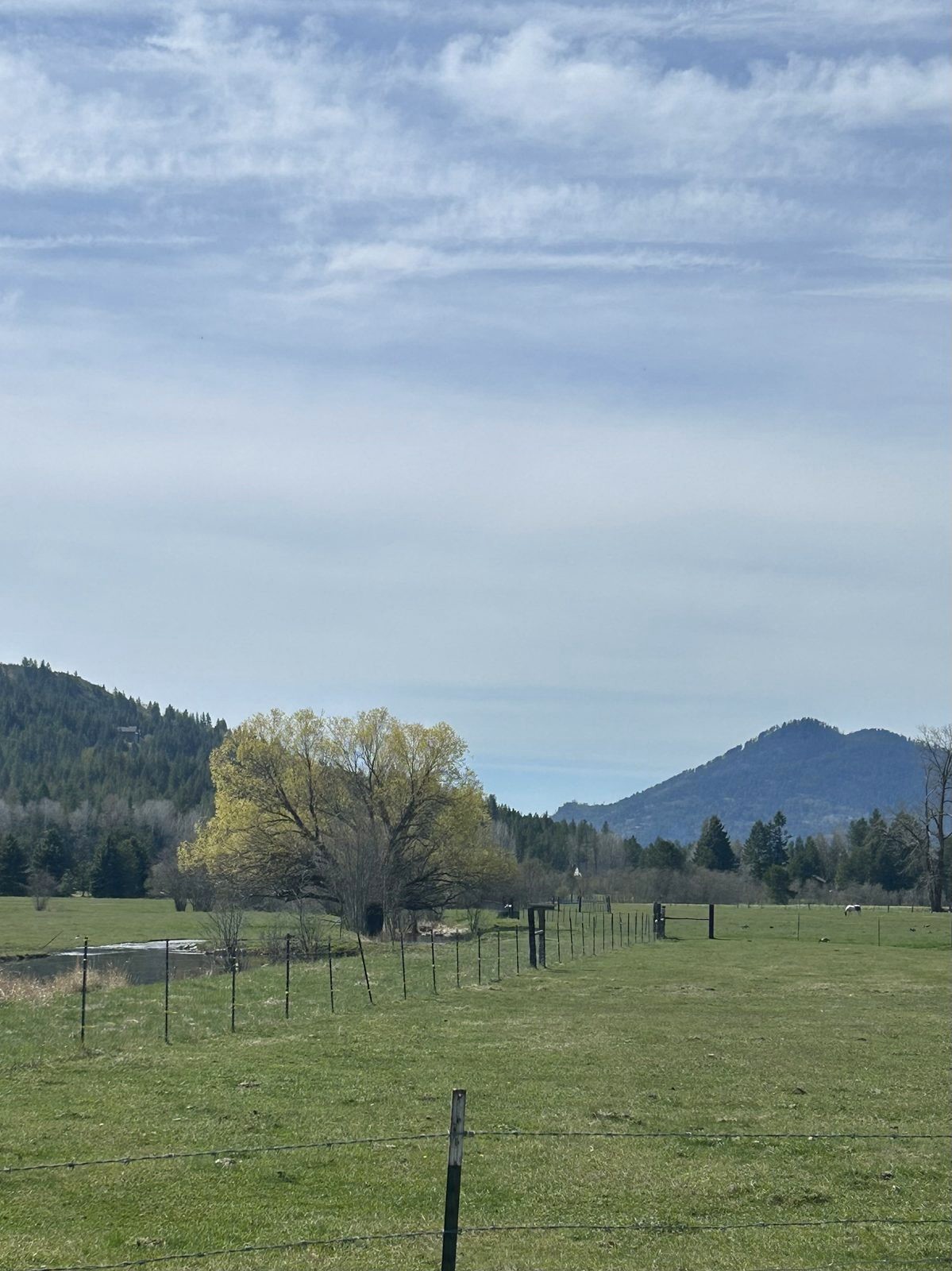 Meadow and river in northern Idaho