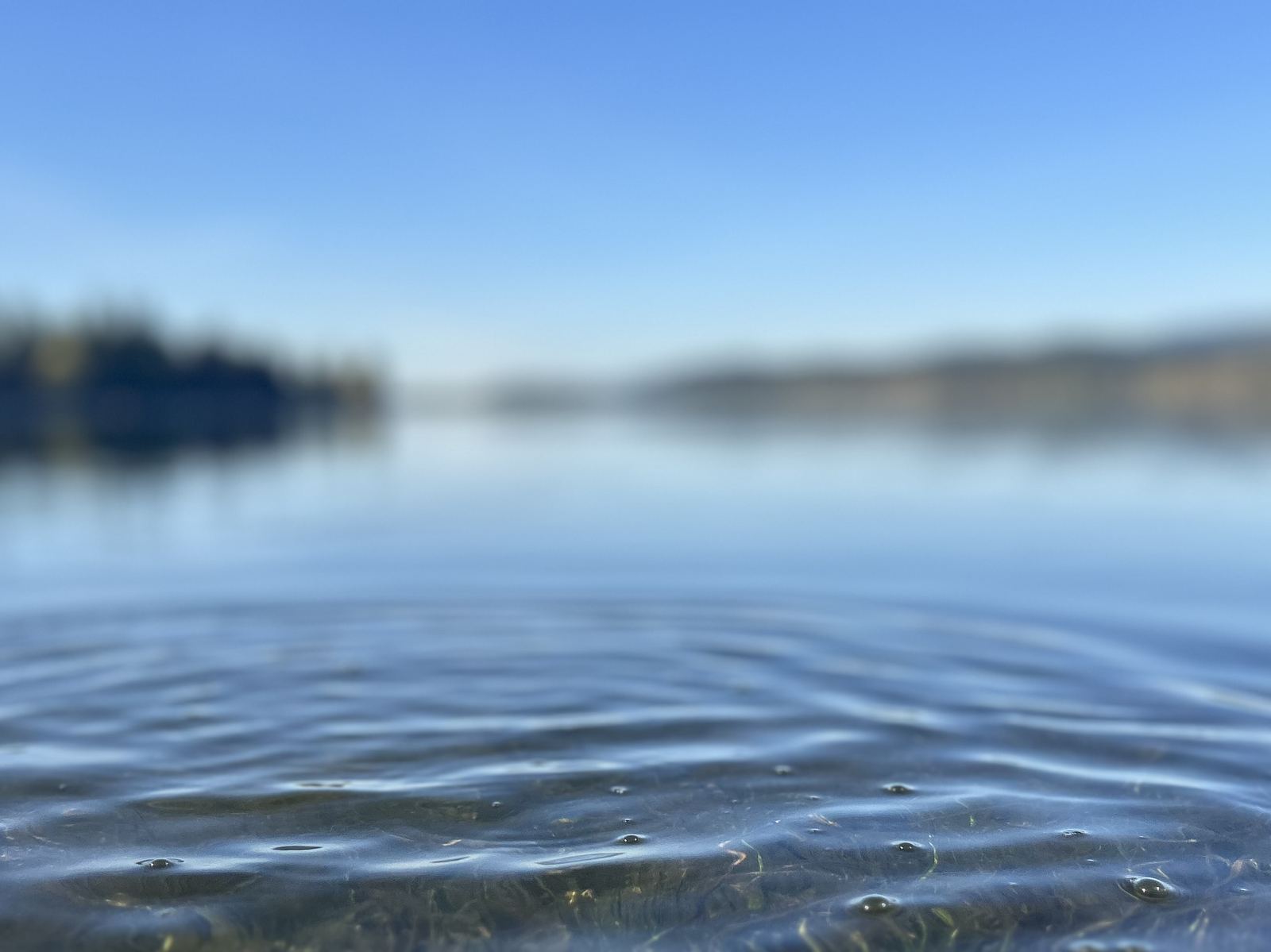 Mountain lake in northern Idaho